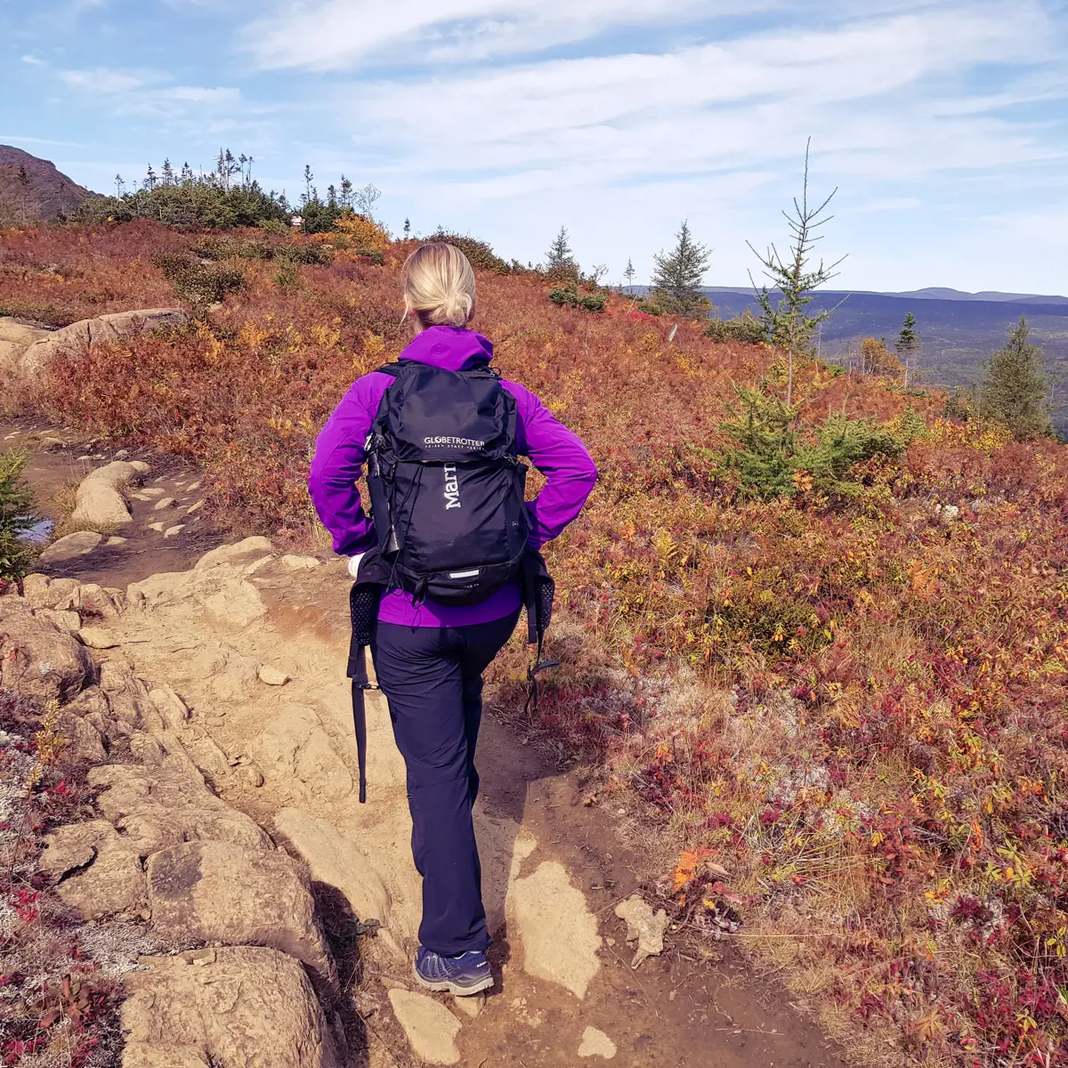 Jahresversicherung - Single full